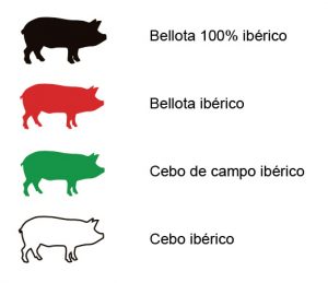 Phoques découverts à Barcelone Jambon Ibérique