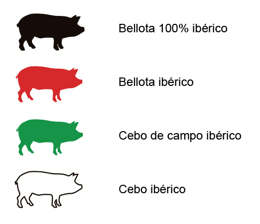 Seals discovered in Barcelona Iberian Ham