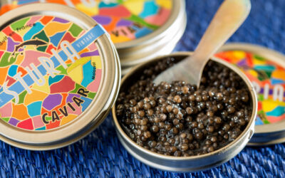 Buy Sturia Oscietra caviar in Barcelona