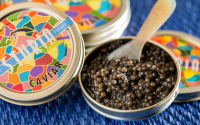 Comprar caviar Sturia Oscietra a Barcelona