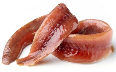 Dónde comprar anchoas Sanfilippo en Barcelona: El Tesoro del Cantábrico en tu Mesa
